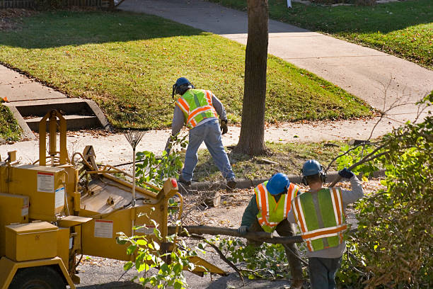 Best Tree Maintenance Programs  in Walton Park, NY